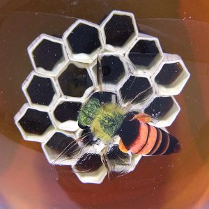 Honeycomb with Bee Paperweight